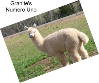 Granite\'s Numero Uno