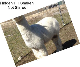 Hidden Hill Shaken Not Stirred