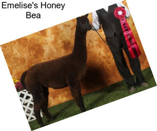 Emelise\'s Honey Bea