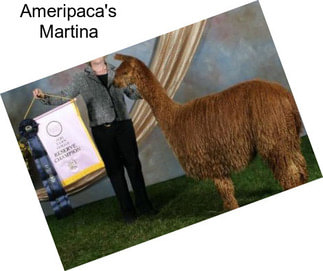 Ameripaca\'s Martina