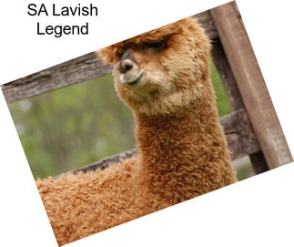 SA Lavish Legend