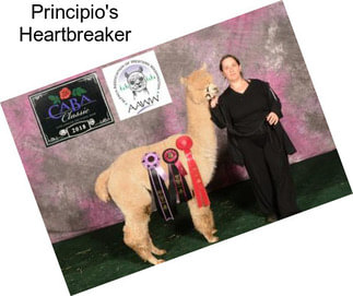 Principio\'s Heartbreaker