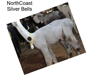 NorthCoast Silver Bells