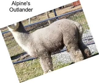 Alpine\'s Outlander