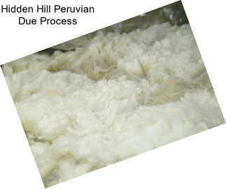 Hidden Hill Peruvian Due Process