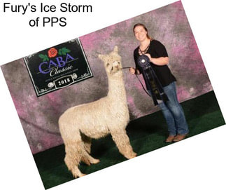 Fury\'s Ice Storm of PPS