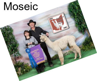 Moseic