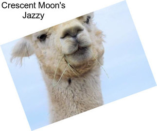 Crescent Moon\'s Jazzy