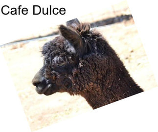 Cafe Dulce