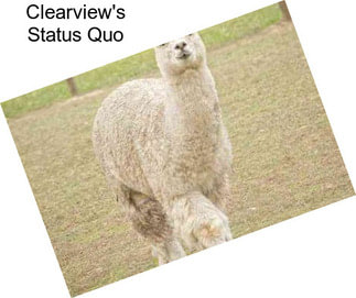 Clearview\'s Status Quo