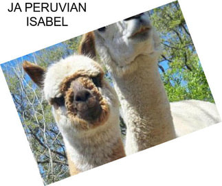 JA PERUVIAN ISABEL