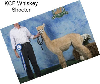KCF Whiskey Shooter
