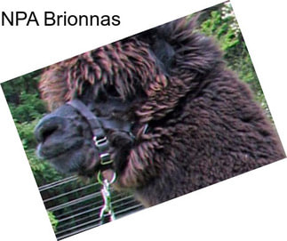 NPA Brionnas