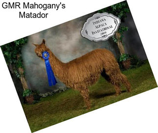 GMR Mahogany\'s Matador
