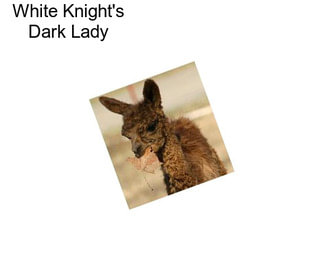White Knight\'s Dark Lady