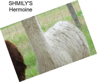 SHMILY\'S Hermoine