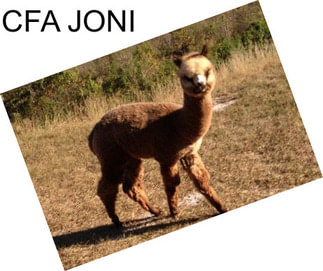 CFA JONI
