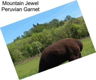 Mountain Jewel Peruvian Garnet