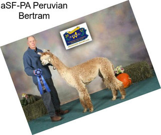 ASF-PA Peruvian Bertram