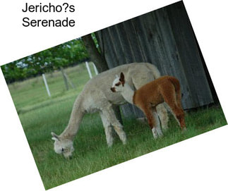 Jericho?s Serenade
