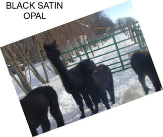 BLACK SATIN OPAL