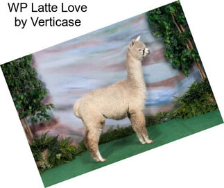 WP Latte Love by Verticase