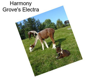 Harmony Grove\'s Electra
