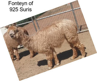 Fonteyn of 925 Suris