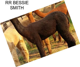RR BESSIE SMITH