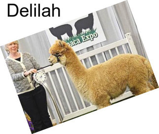 Delilah