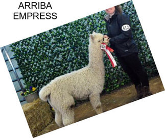 ARRIBA EMPRESS