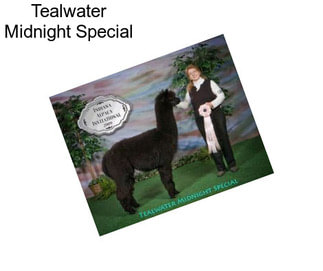 Tealwater Midnight Special