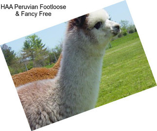 HAA Peruvian Footloose & Fancy Free