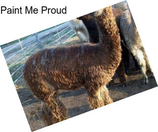 Paint Me Proud