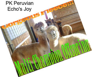 PK Peruvian Echo\'s Joy