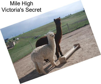 Mile High Victoria\'s Secret