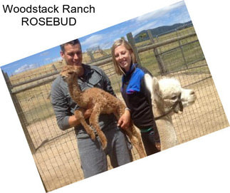 Woodstack Ranch ROSEBUD