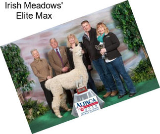 Irish Meadows\' Elite Max