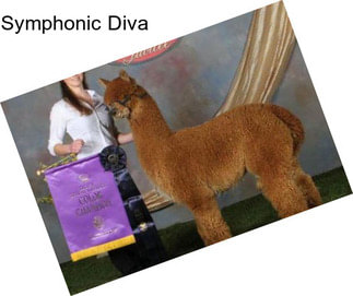 Symphonic Diva