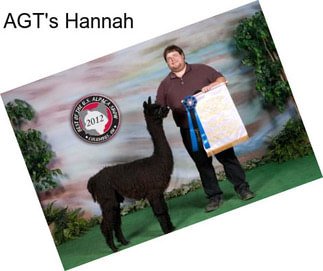 AGT\'s Hannah