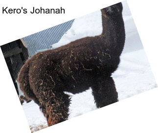 Kero\'s Johanah