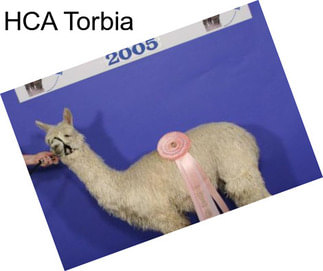 HCA Torbia