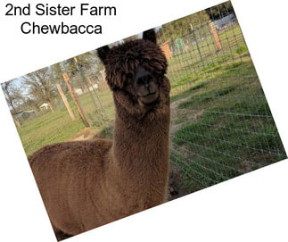 2nd Sister Farm Chewbacca