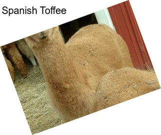 Spanish Toffee