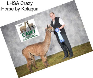 LHSA Crazy Horse by Kolaqua