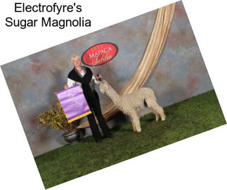 Electrofyre\'s Sugar Magnolia