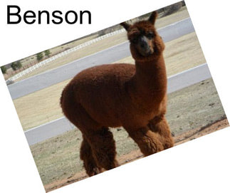 Benson