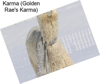 Karma (Golden Rae\'s Karma)