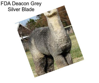 FDA Deacon Grey Silver Blade