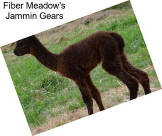 Fiber Meadow\'s Jammin Gears